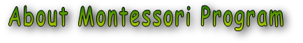 About Montessori Program